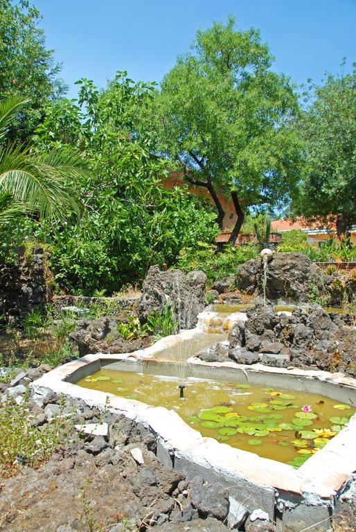 Sotto Il Vulcano ニコロージ エクステリア 写真